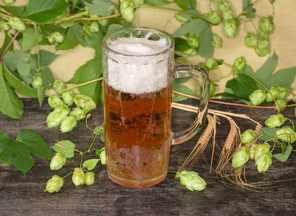 黒の表面に緑の葉と種子コーンと大麦の耳を持つホップの枝に対してラガービールとビールグラス — ストック写真