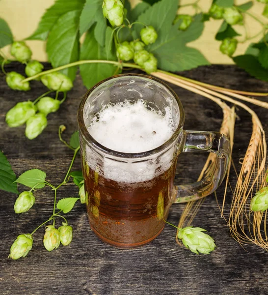 緑の葉と種子コーンと黒の表面に大麦の耳を持つホップの枝の間の泡で覆われたラガービールとビールのグラスマグカップ — ストック写真