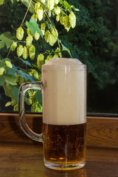 Glass of beer on a background of branches of hops — Stock Photo, Image