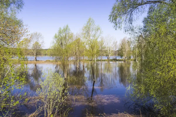 Våren flood — Stockfoto