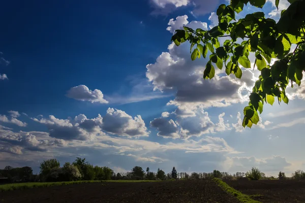 Sky with clouds — Stock Photo, Image