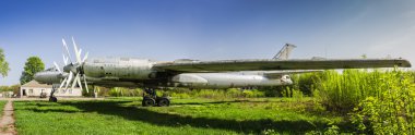 Stratejik bombardıman uçağı Tu-95 ayı