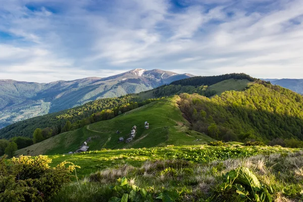 Карпатский весенний пейзаж — стоковое фото