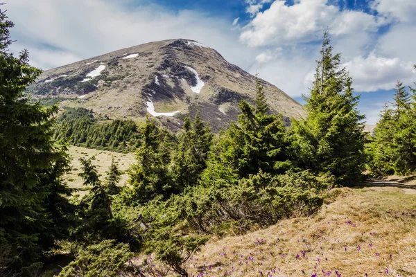 Mount Petros — Zdjęcie stockowe