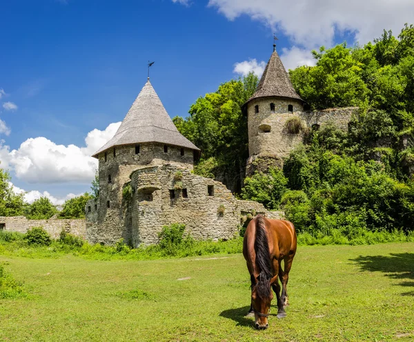 Kamenetz-Podolsk medeltida befästning — Stockfoto