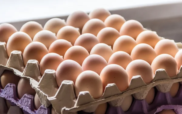 Trays met eieren — Stockfoto