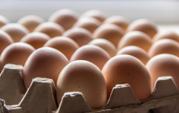 Яйця тацю — стокове фото