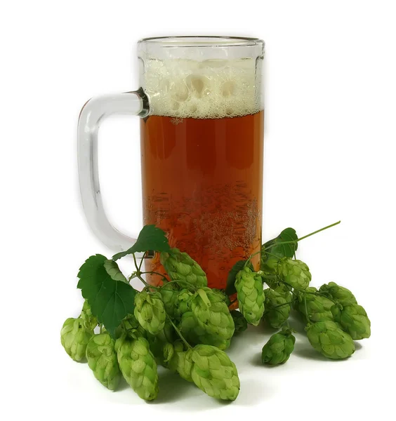 Tasse de bière et houblon — Photo