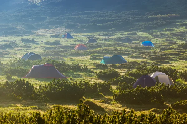 Tent camp. — Stock Photo, Image