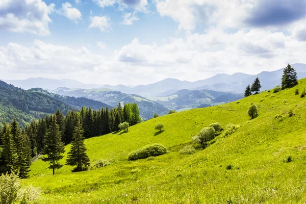 Paesaggio carpatico — Foto Stock