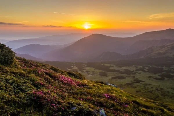 Salida del sol en las montañas Cárpatas —  Fotos de Stock