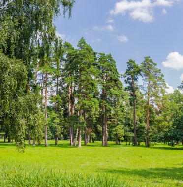 Glade parkta