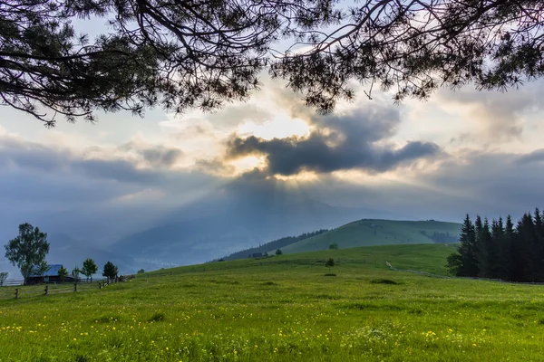 Pascolo di montagna al mattino presto — Foto Stock