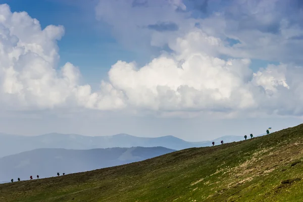 Group of tourists in the Carpathians — Stock Photo, Image