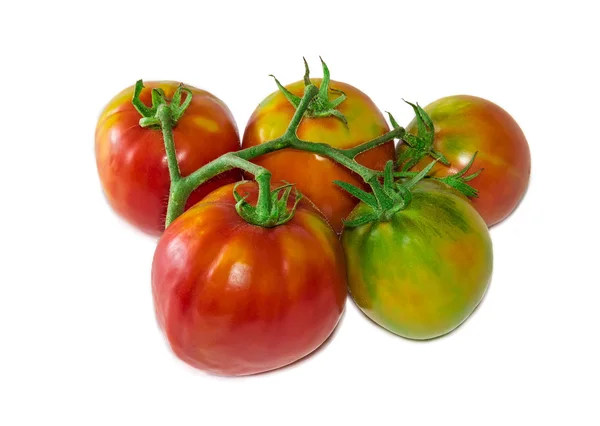 Bunche of tomatoes — Stock Photo, Image