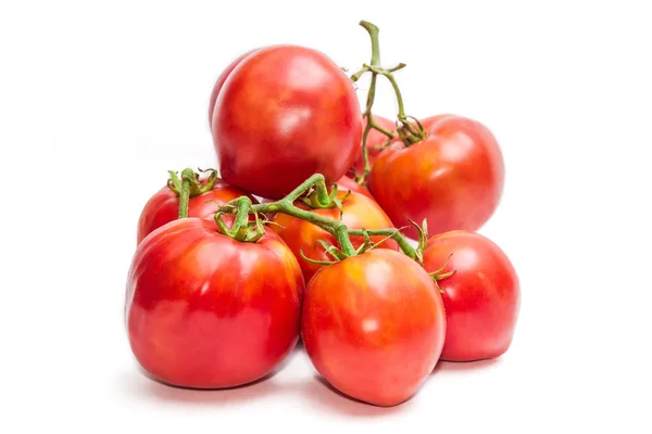 Tomatensträuße — Stockfoto