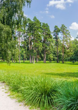 Glade parkta