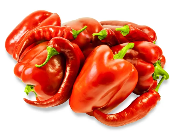 Flera paprika och peppar kyligt — Stockfoto