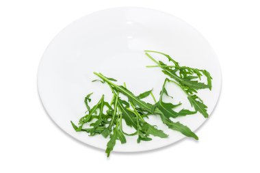 Arugula in dish