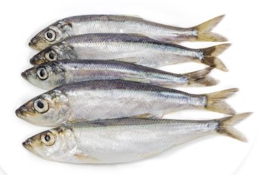 Several sprats closeup