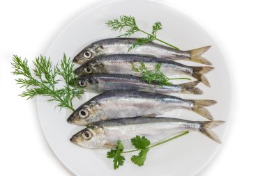 Several sprats with dill and parsley on a dish clipart