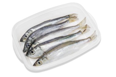 Several sprats in transparent plastic tray