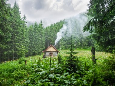 Mountain shelter in Carpathians during inclement weather clipart