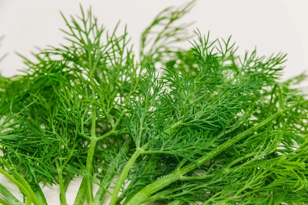 Closeup Dill — Fotografia de Stock