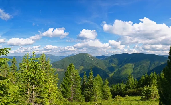 Carpathian landscape — Stock Photo, Image