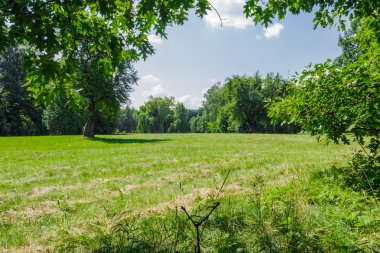 Glade parkta