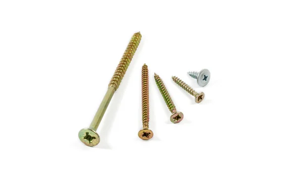 Several wood screws different sizes — Stockfoto