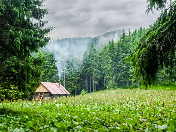 Mountain shelter in Carpathians during inclement weather
