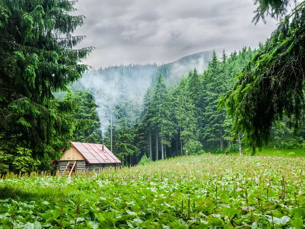 Mountain shelter in Carpathians during inclement weather — Stok fotoğraf
