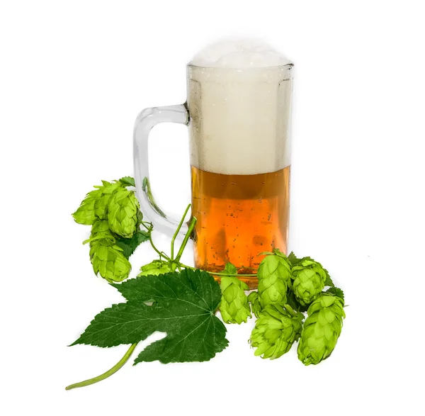 Mug of beer and branch of hops — Stock Photo, Image