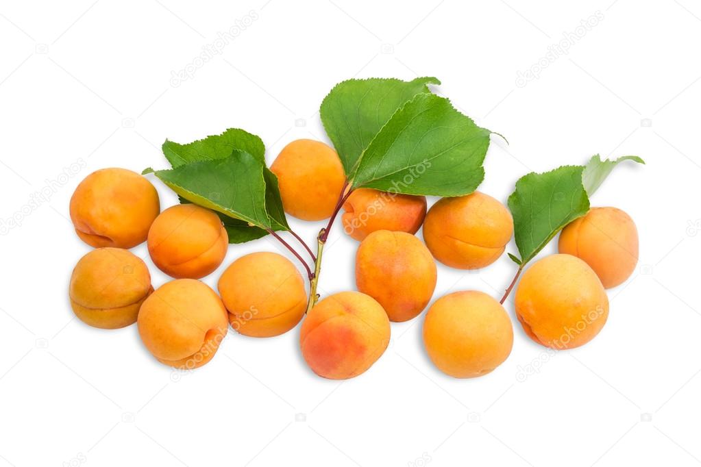 Several ripe apricot and a branch with leaves closeup