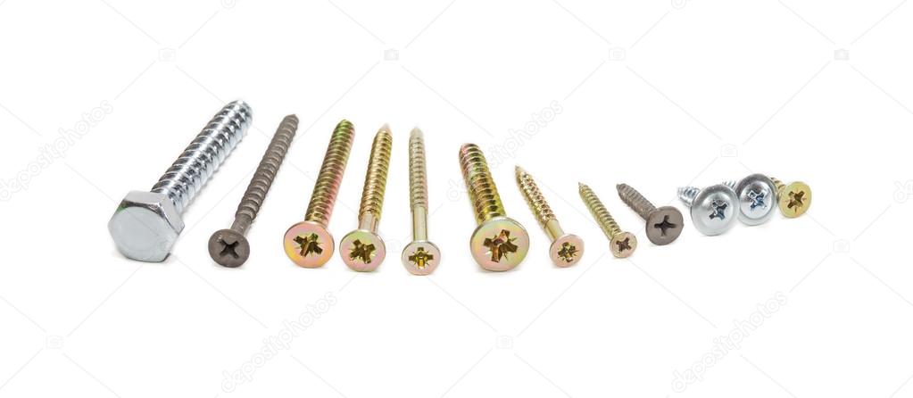 Several wood screws different sizes, shape, design and purpose