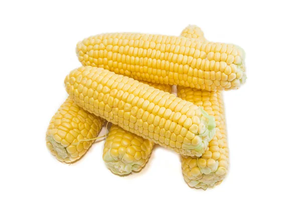 Several ears of young corn on a light background closeup — Stock Photo, Image