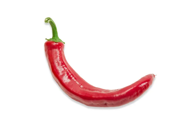 Red chili pepper on a light background — Stock Photo, Image