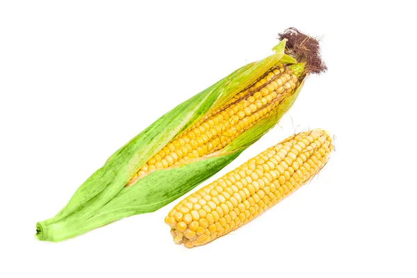 Two ears of young corn on a light background closeup — Stock Photo, Image