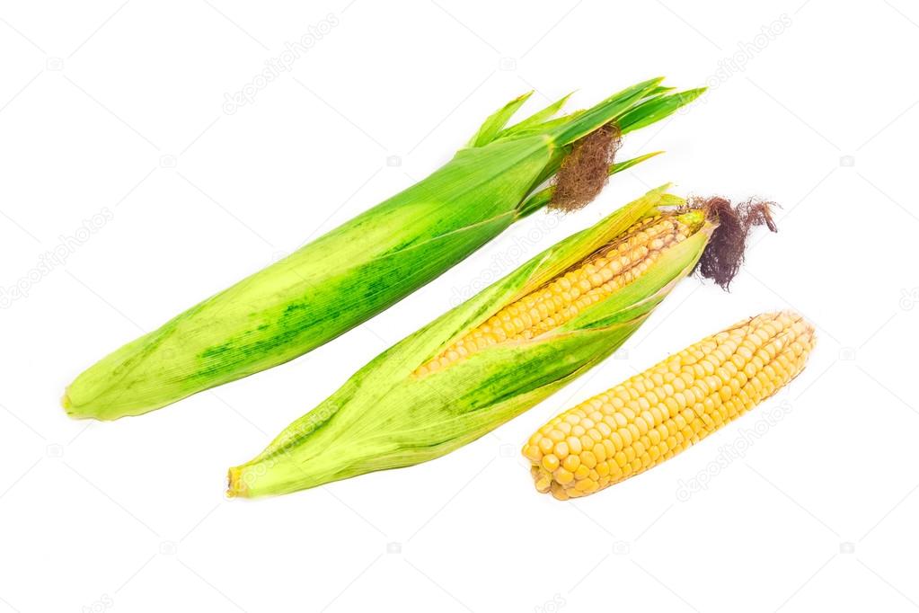 Hántolt fiatal