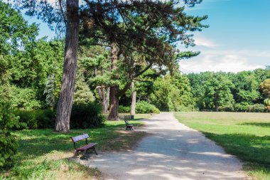 Park sokak banklar ile