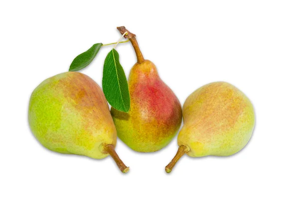 Three pear Bartlett on a light background — Stock Photo, Image