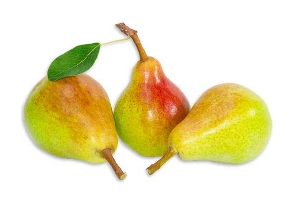 Three pear Bartlett on a light background — Stock Photo, Image