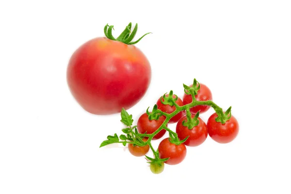 Pomidor i jeden pomidor konwencjonalnych — Zdjęcie stockowe