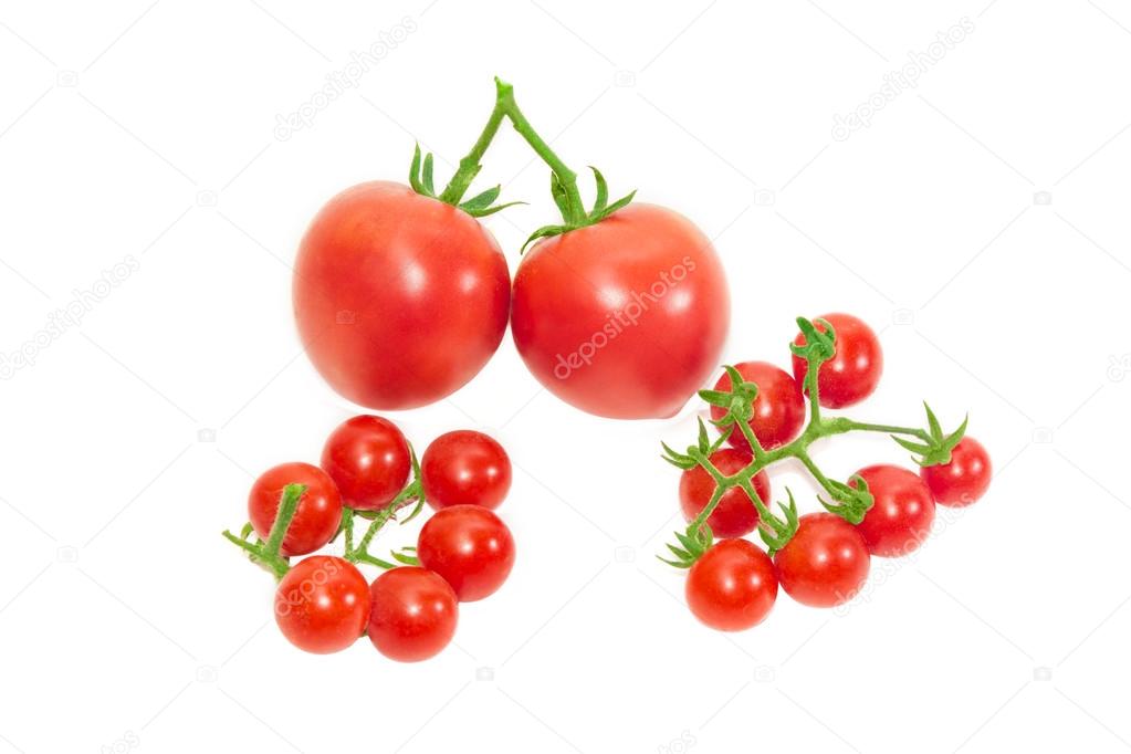 Two branches of cherry tomato and two conventional tomatoes