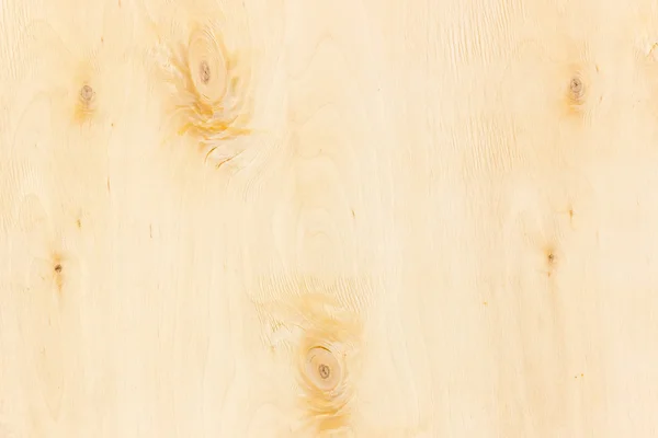 Surface of birch veneer closeup — 스톡 사진