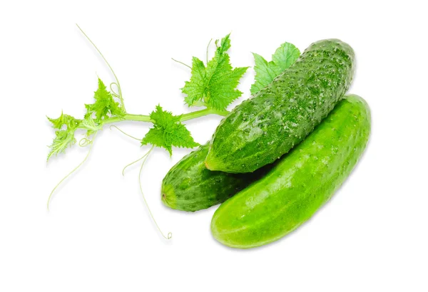 Three cucumbers with a branch on a light background — Zdjęcie stockowe