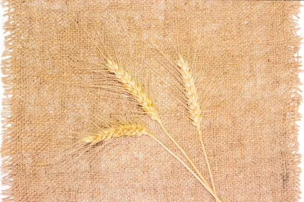 Three spikelets of wheat on a sackcloth — Stock Photo, Image