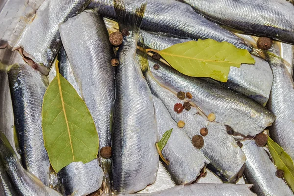 Baharatlar, dekapaj için hazırlanan ile Baltık ringa balığı
