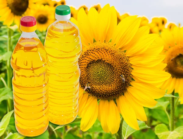 两瓶葵花籽油上的一朵向日葵背景 — 图库照片